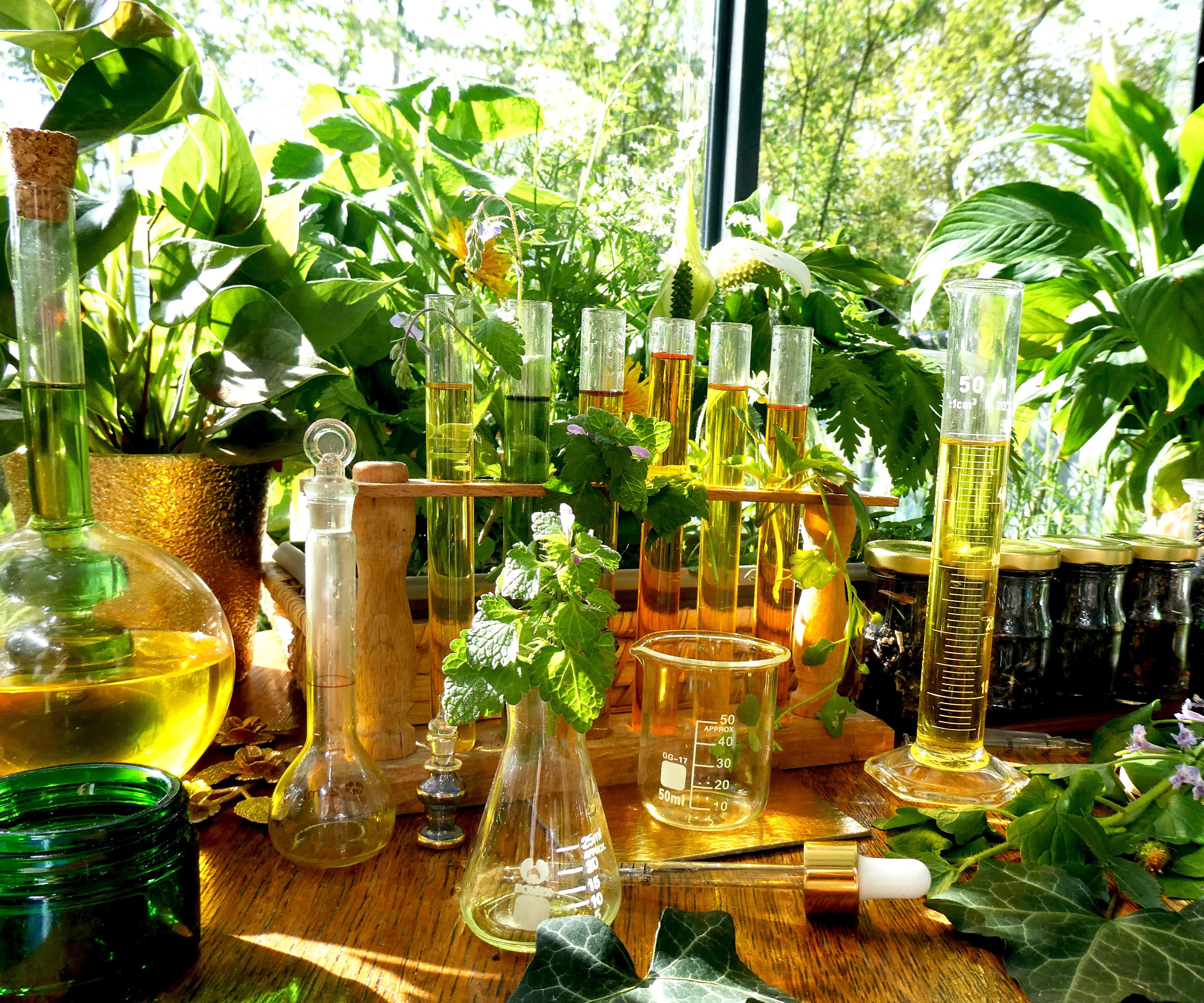 DROP - MERVEILLE DES LANDES ORGANIC - Sensitive Skin Care Complete Regeneration