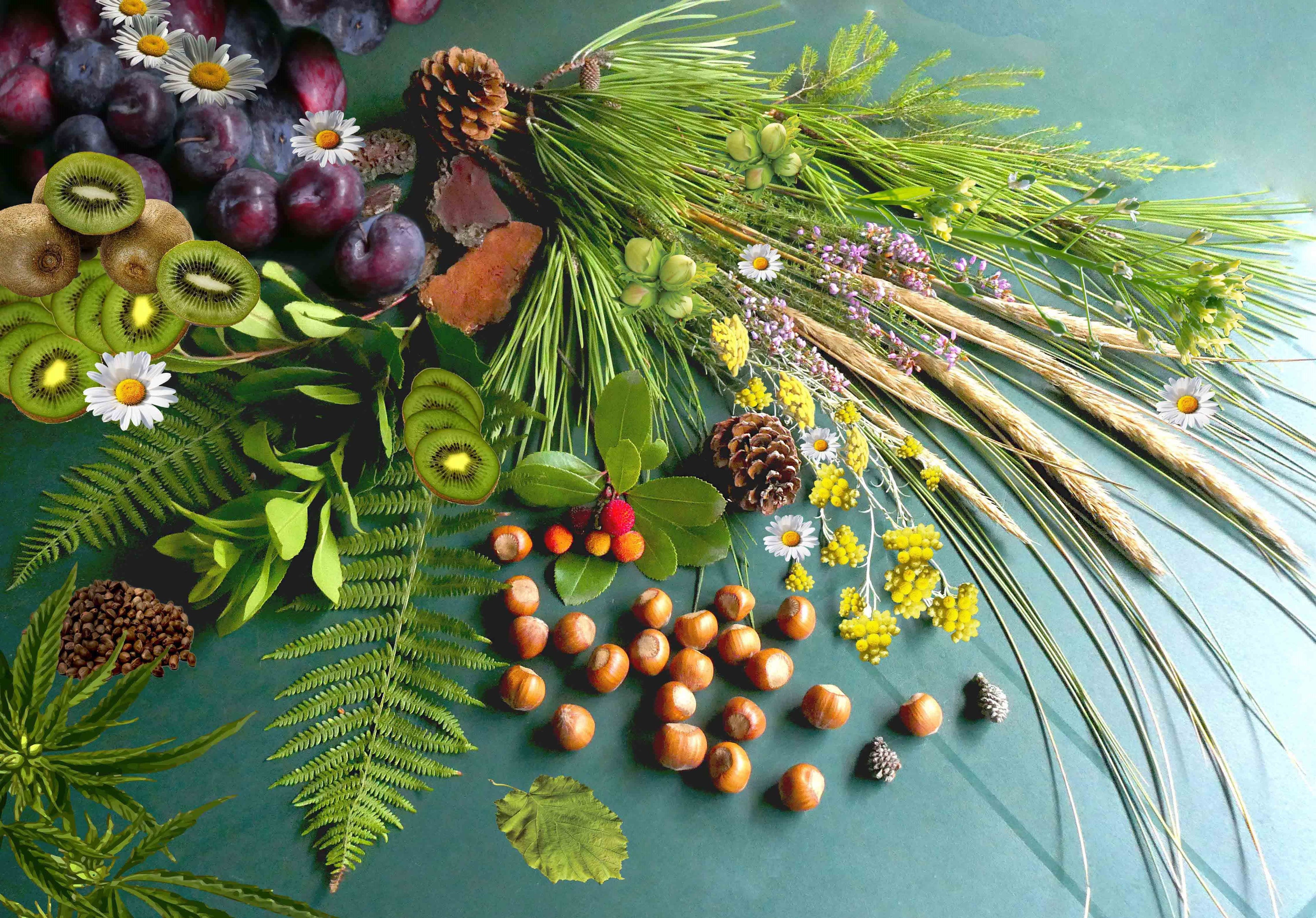 TRIO - Volupté des Landes ORGANIC 90ml-2