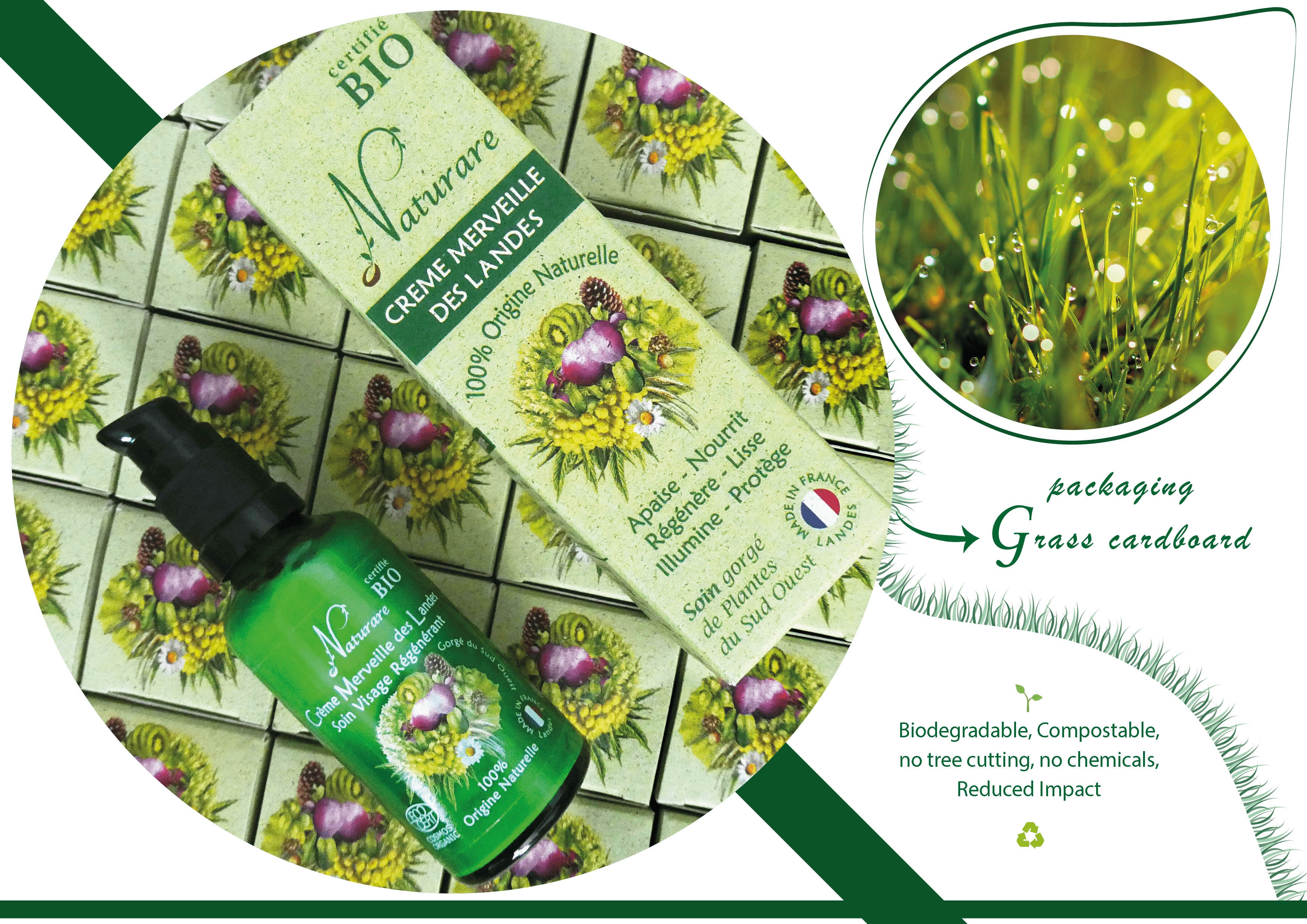 DROP - MERVEILLE DES LANDES ORGANIC - Sensitive Skin Care Complete Regeneration